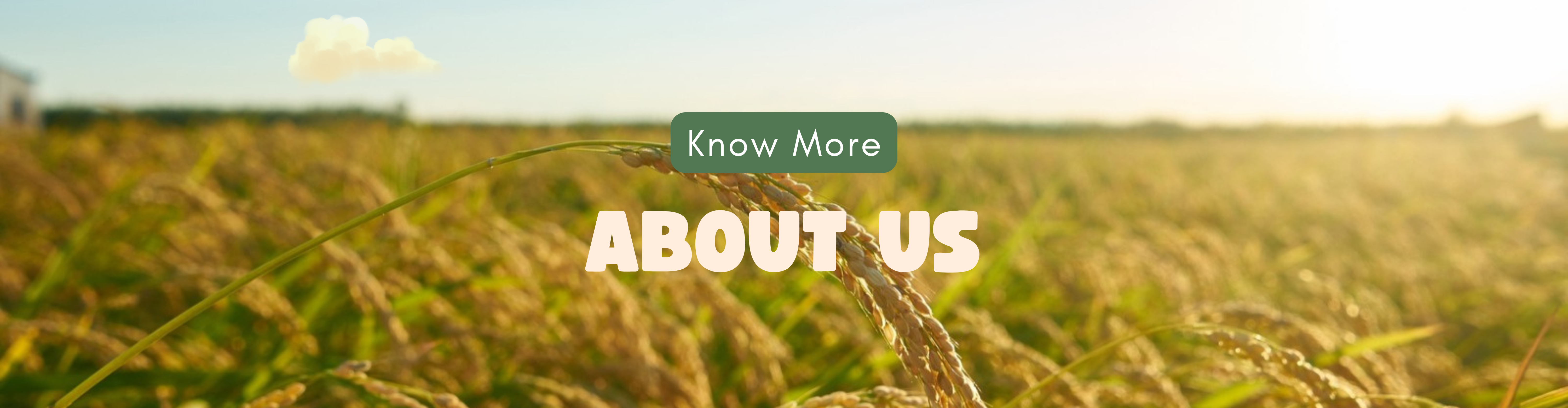 About Ahlawat Agro Implements