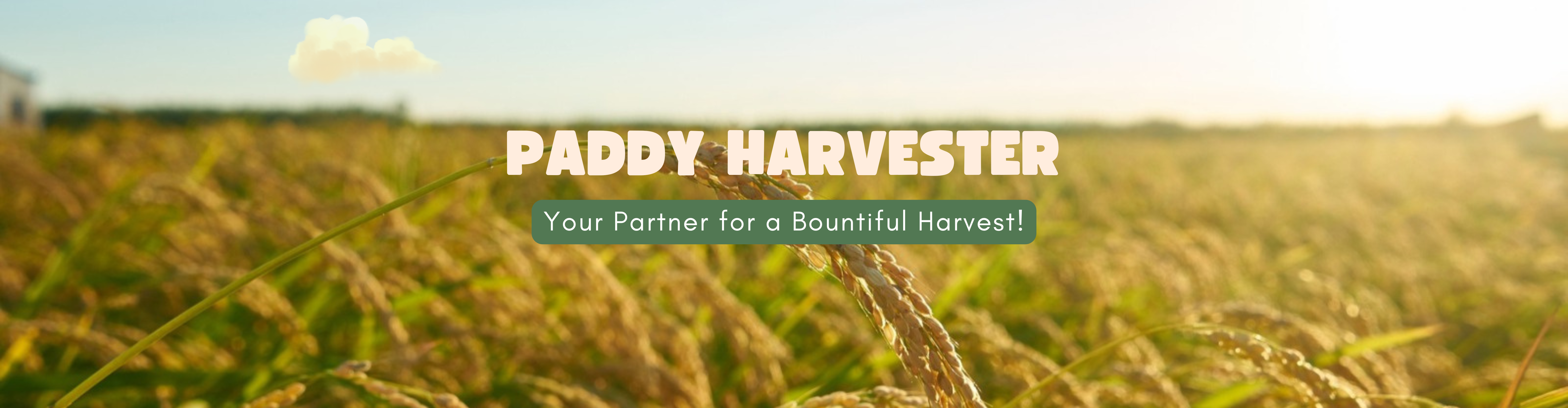 Paddy Harvester Machine Manufacturer in India