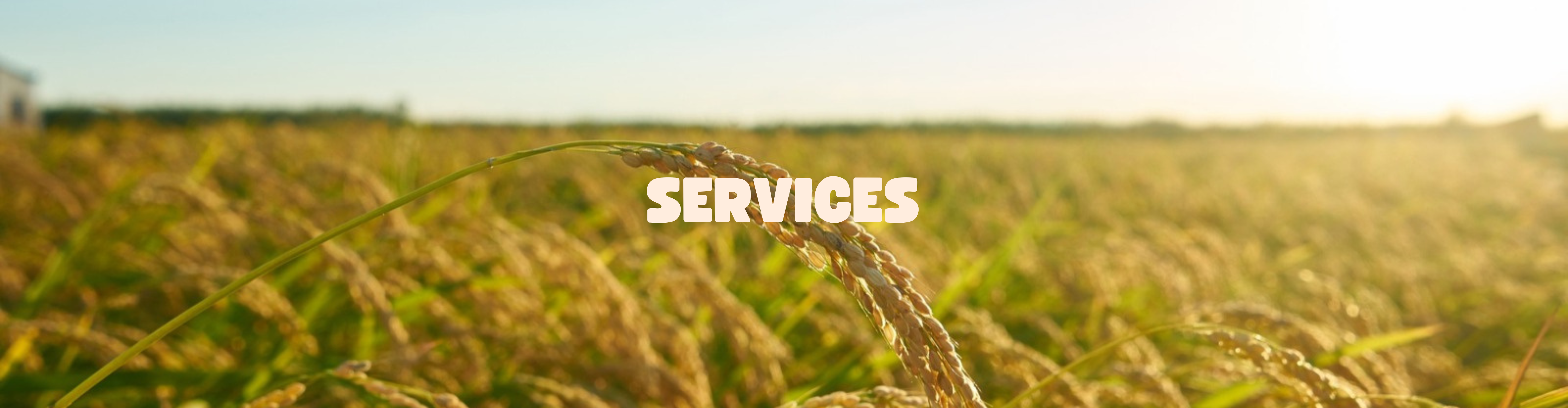 Harvester Machine Manufacturer in India